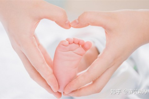 夏天太原捐卵宝宝发烧 莫要急